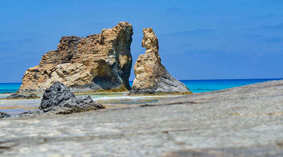 أنشطة خارجية